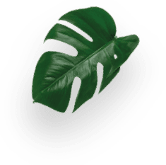 KitKat &reg; decoration Image